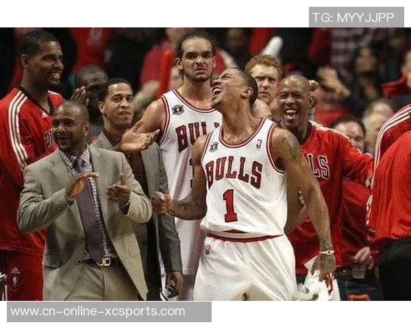 5月23日东部决赛热火对公牛全场精彩录像回放回顾与分析